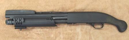 FORCEMANLS.JPG (21932 bytes)