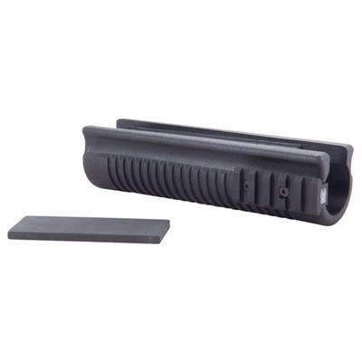 GGG.jpg (13354 bytes)