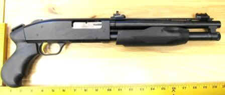 SENTINEL SBS Pistol.JPG (26846 bytes)