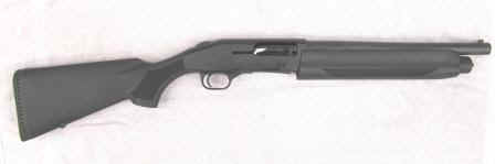 SENTRY.JPG (18957 bytes)