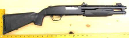 Sentinel SBS.JPG (23248 bytes)