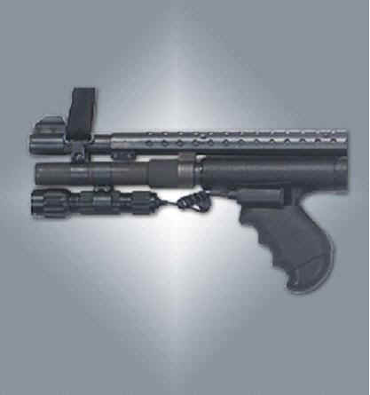 TACSTAR weapons light system.JPG (12890 bytes)