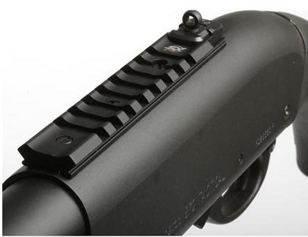 XSrailGRS.jpg (15903 bytes)